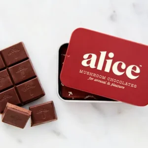 Alice Brainstorm | Lion’s Mane & Cordyceps Mushroom Chocolate