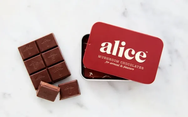 Alice Mushrooms chocolate